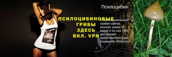 ПСИЛОЦИБИНОВЫЕ ГРИБЫ Балабаново